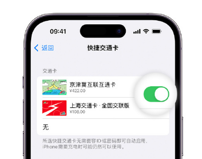 兴隆台apple维修点分享iPhone上更换Apple Pay快捷交通卡手绘卡面 