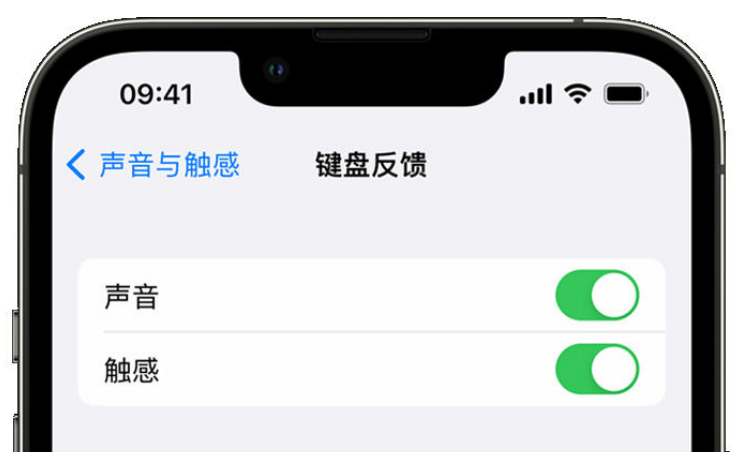 兴隆台苹果手机维修分享iPhone 14触感键盘使用方法 