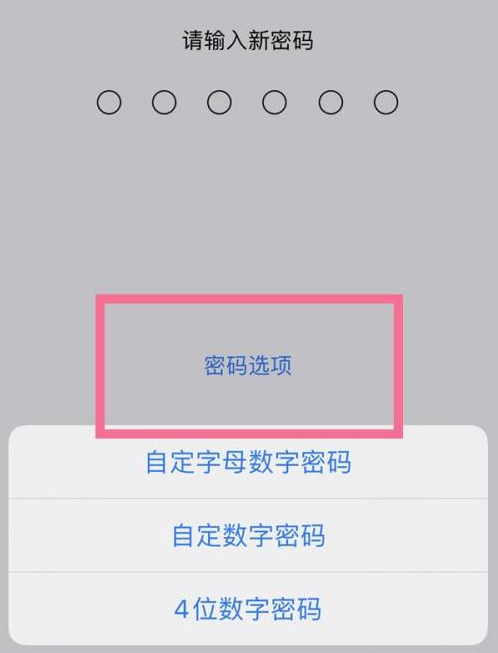 兴隆台苹果14维修分享iPhone 14plus设置密码的方法 