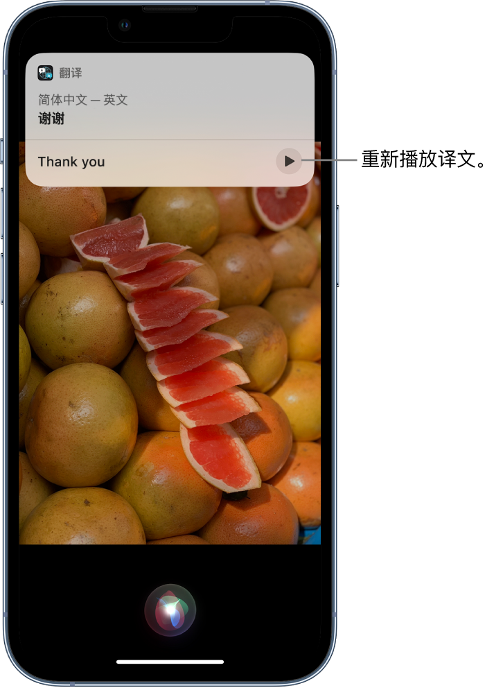 兴隆台苹果14维修分享 iPhone 14 机型中使用 Siri：了解 Siri 能帮你做什么 