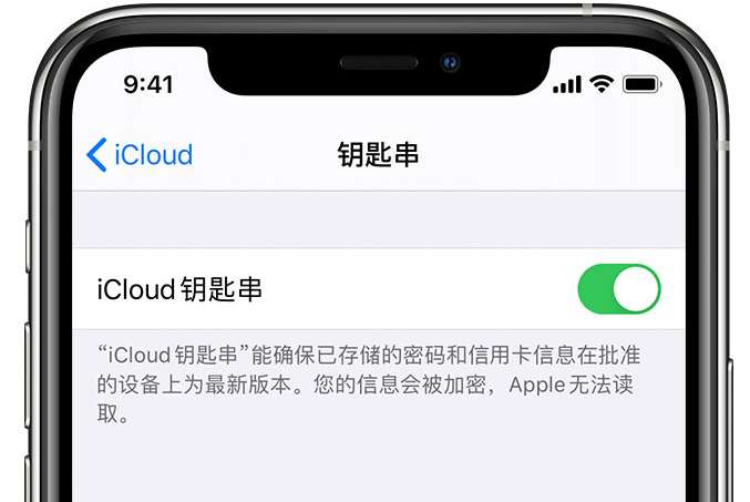 兴隆台苹果手机维修分享在 iPhone 上开启 iCloud 钥匙串之后会储存哪些信息 